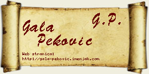 Gala Peković vizit kartica